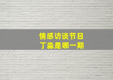 情感访谈节目 丁淼是哪一期